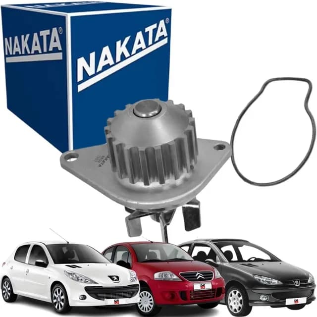Bomba Dagua Citroen C3 Peugeot 206 207 Hoggar 2003 A 2018.