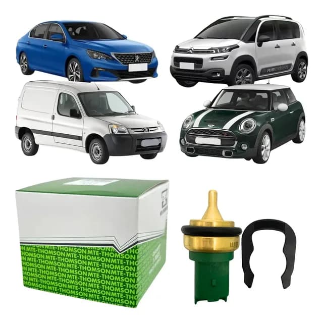 Plug Eletrônico Mte-thomson Citroen Mini Cooper E Peugeot