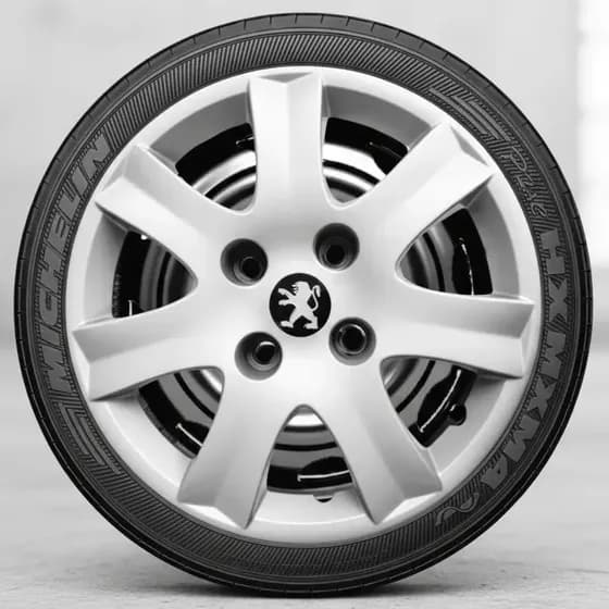 Jogo 4 Calotas Aro 14 Peugeot 206 207 307 Partner Hoggar